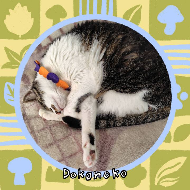 8ed2bba6 4b00 4800 97b6 20fe7245185c 1762413640805