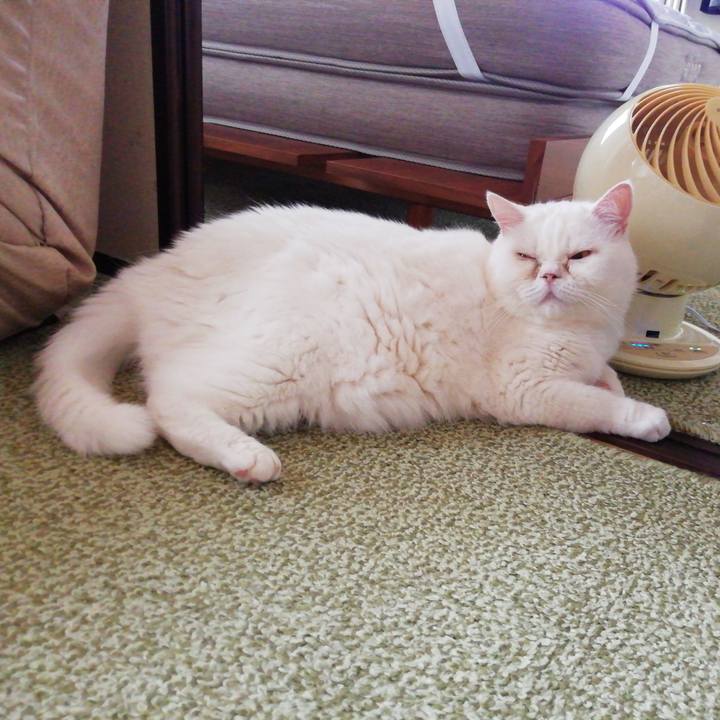 8ed2d30e bc3e 43cf ba2e e42b9267140d 1692762905601