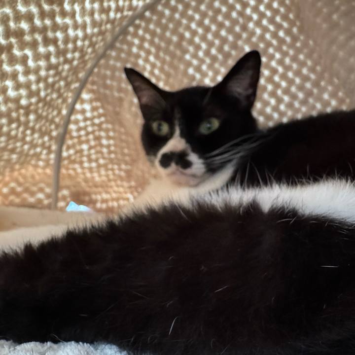 8ed2e632 8461 4fca 8f31 acc9d08597e5 1749347693790