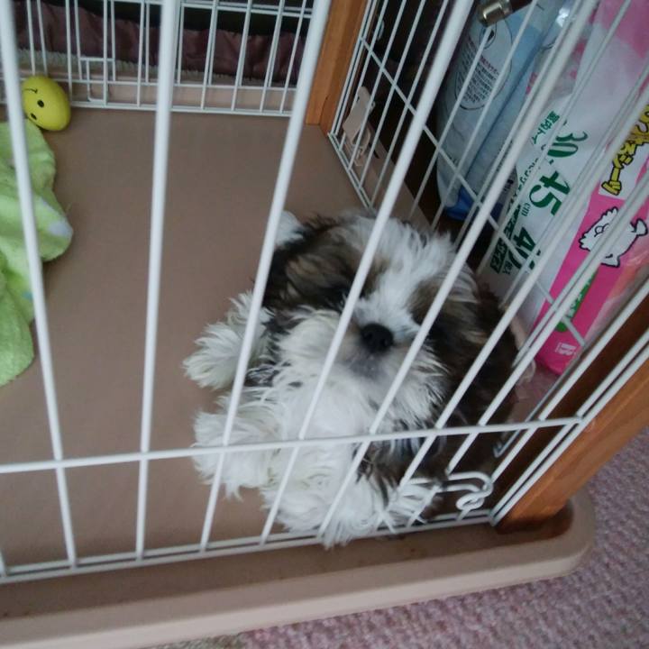 8ed30bc3 d495 4bf0 bf13 39790cc04b53 1532328011862