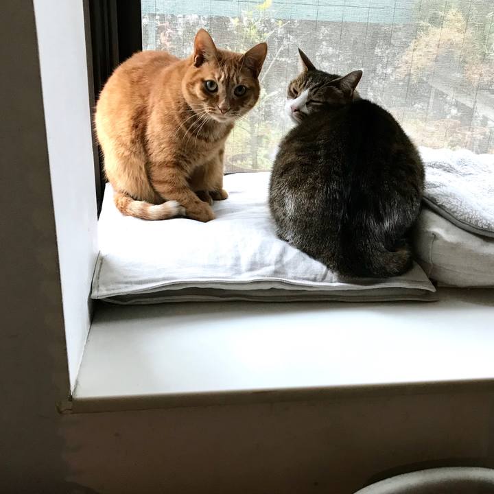 8ed32902 8df3 4926 b53f 5e767d0d7d3f 1515652530538