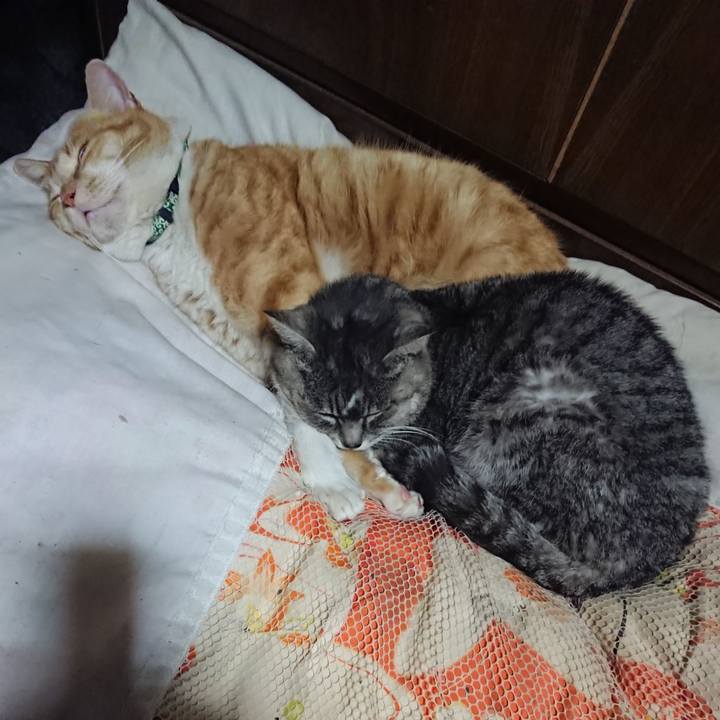 8ed3357c 189c 4583 a750 5e97c90636f5 1581607714995