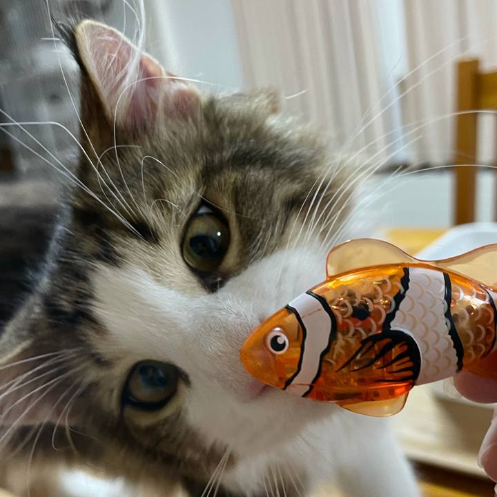 8ed3620e a879 4d6f 9e26 8fa62871d459 1635852170909