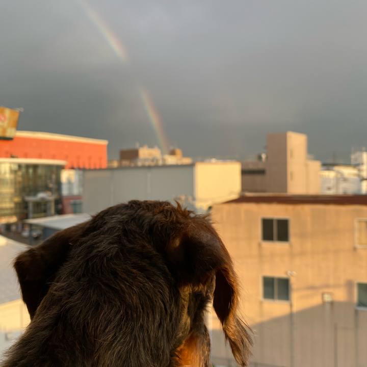 8ed36d1b 7170 46ef bc38 a3c10d2b11cd 1621675823107