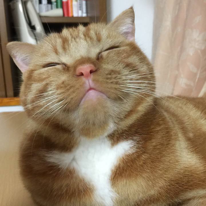 8ed37226 971e 4b94 a0ec bb82ac3481dd 1520295363456