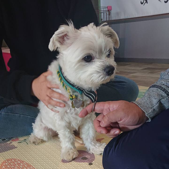 8ed3ae95 41c2 4e5c a57c fb1a74493ed8 1578727417141