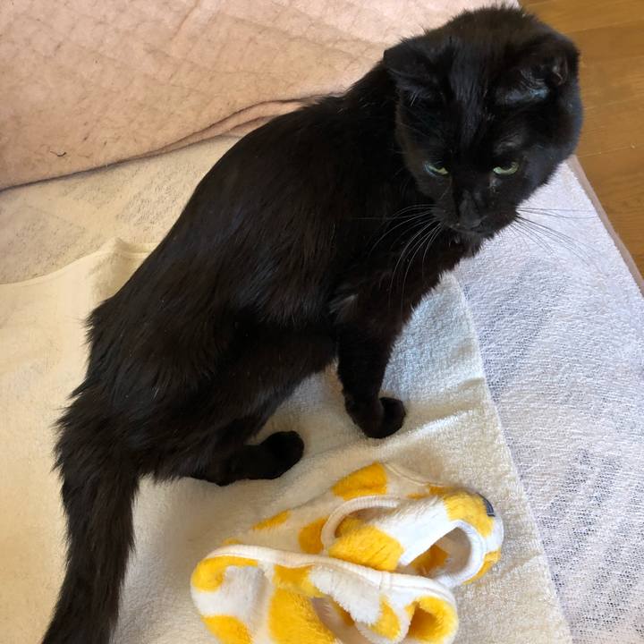 8ed3b74b 358e 443e 938c 22923d500417 1556485029859