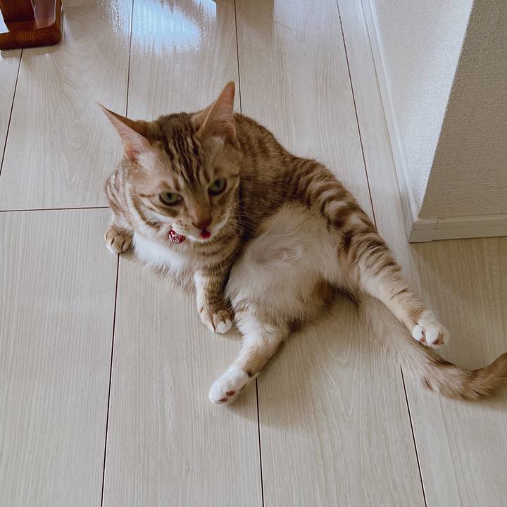 8ed3beb9 05f7 4c94 a148 eb0c03581a9d 1652501385383