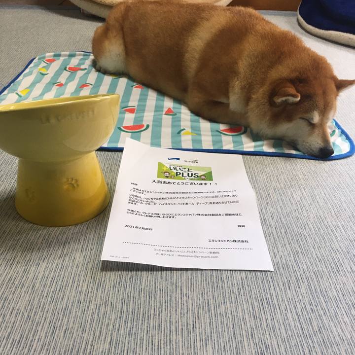 8ed3c1f1 06da 4f4b a8f9 84d91c343920 1628221842807