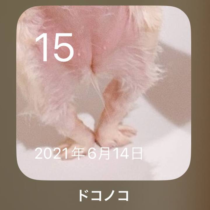 8ed3dba6 ffad 4be1 bb61 d0b7c3e49c6c 1686822671092