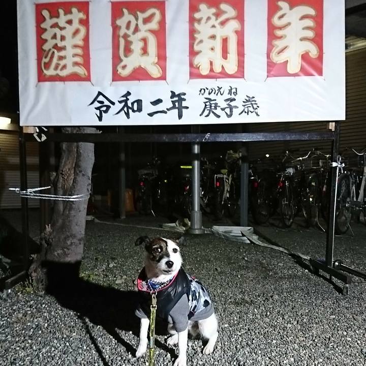 8ed3edb4 f585 456f b77c b73534758f02 1577808902983