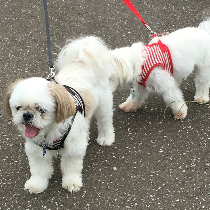 8ed3fc70 f61e 462e bdc5 9a088df85043 1535863080050