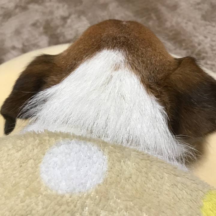 8ed40923 5e19 4262 9875 ee5bb893ae45 1519344818806