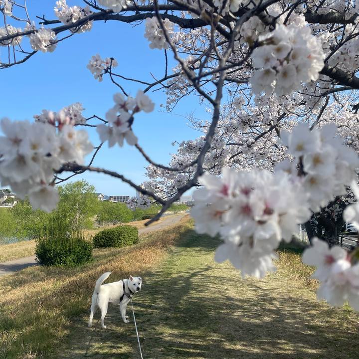 8ed43dde d6fe 4319 bbcb 01520fccf0c5 1743292153354