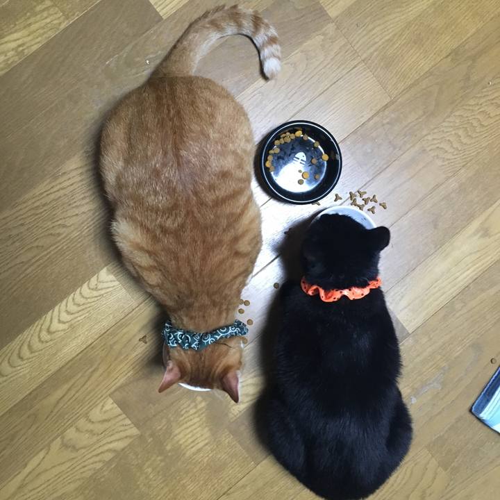 8ed44447 dfa5 4047 8b63 01debda087b2 1538220719155