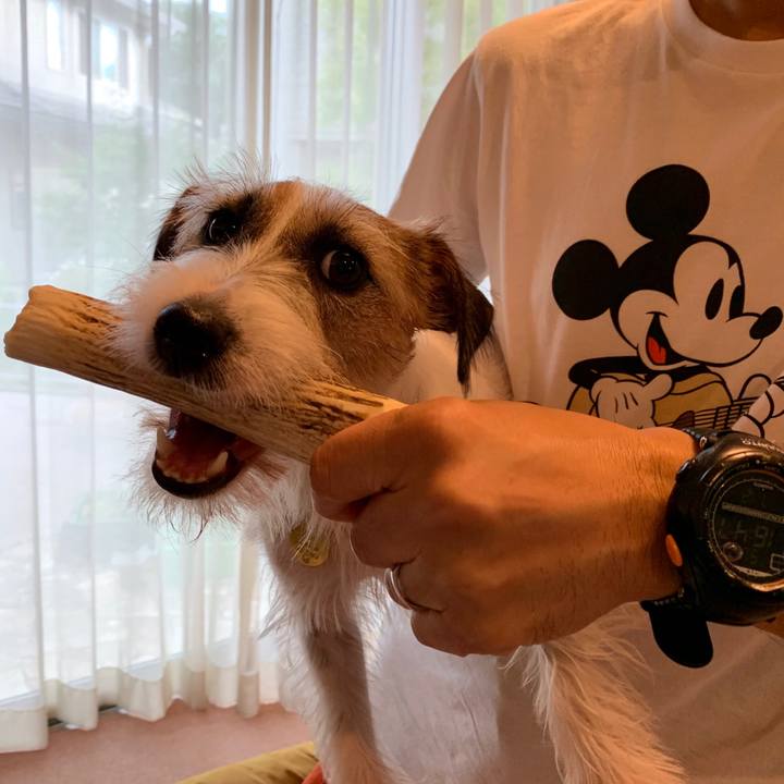 8ed453f0 d5ce 45fa 8c99 4223361eca94 1594551180551