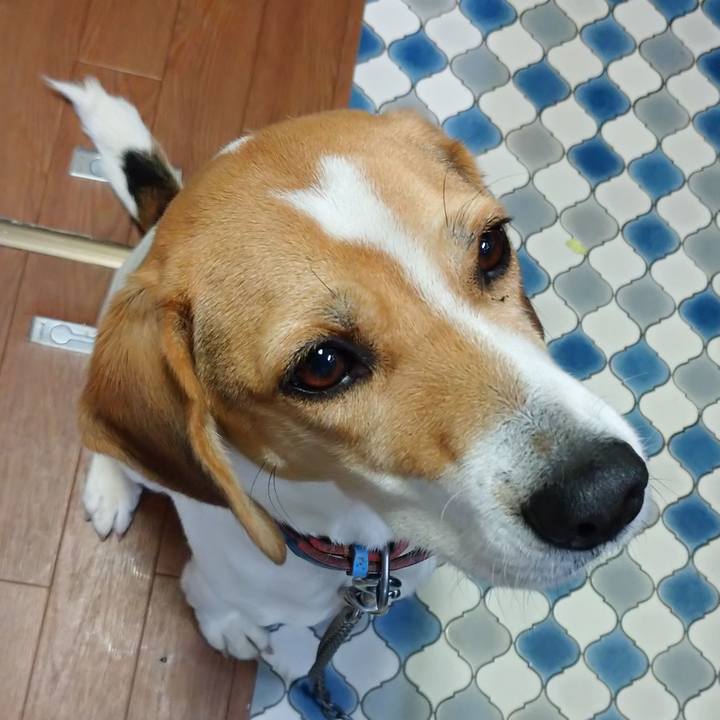 8ed48caa 4e3a 4ae7 a0dc f91544c786a5 1608793954371