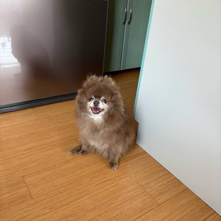 8ed4e8e4 9abf 4ccf b23d b756015fe59f 1752709396364