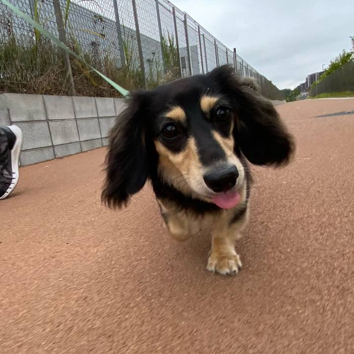 8ed4ea68 afa2 4042 9344 c55126d5d344 1689284421728