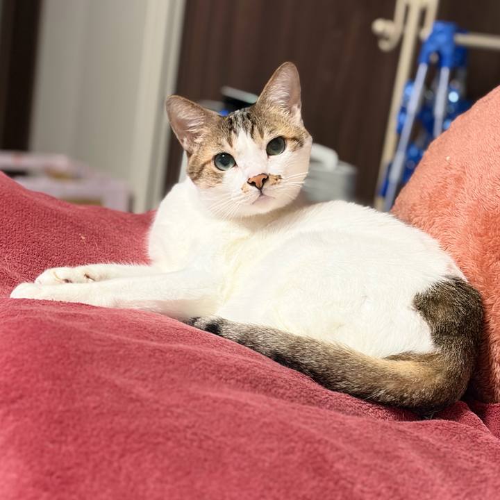 8ed5505b 6fb9 45e3 9965 e528804bd1e2 1766875751250