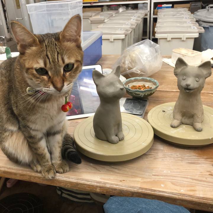 8ed5693e ea8d 4d62 83f0 8678af76b876 1665658773455