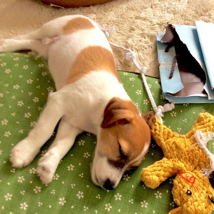 8ed56fa3 e5cb 4808 a878 2d834cc26eb6 1555731441657