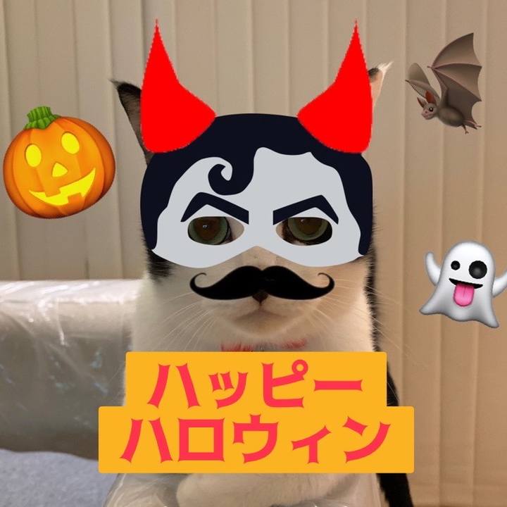 8ed576e1 4ebf 4a2c abb4 1739f530cde1 1698712275310