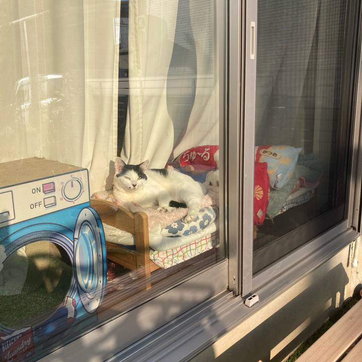 8ed57b56 b447 4ff1 a282 588370f0379d 1771137880242