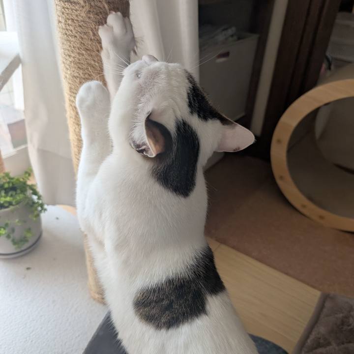 8ed612d0 9f8d 4f3d 9f31 5a33fcf577f2 1745211086577