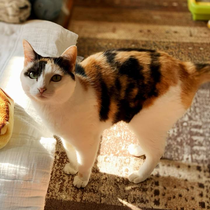 8ed615ca 14eb 49ac b38d b1a88dae51a1 1596082220708