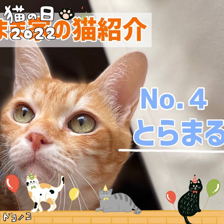 8ed622f7 b637 48aa a54a 282e2a1053d9 1645503124013