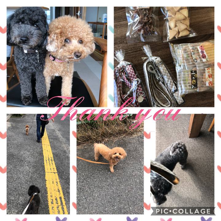 8ed63561 aa27 4f81 881e 3eccb509e656 1600520113102