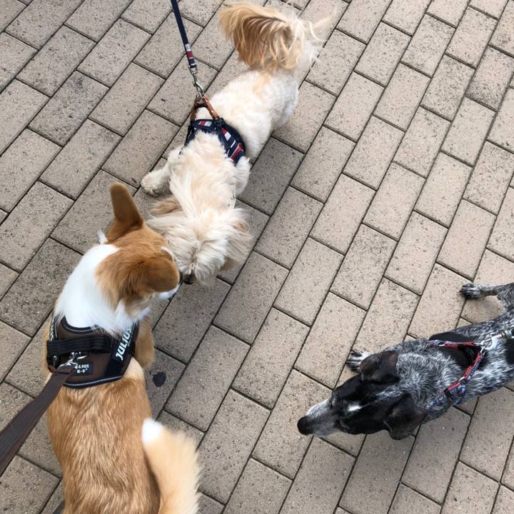 8ed63702 c0bc 4ed9 9d64 41a583e61ddc 1590328228251