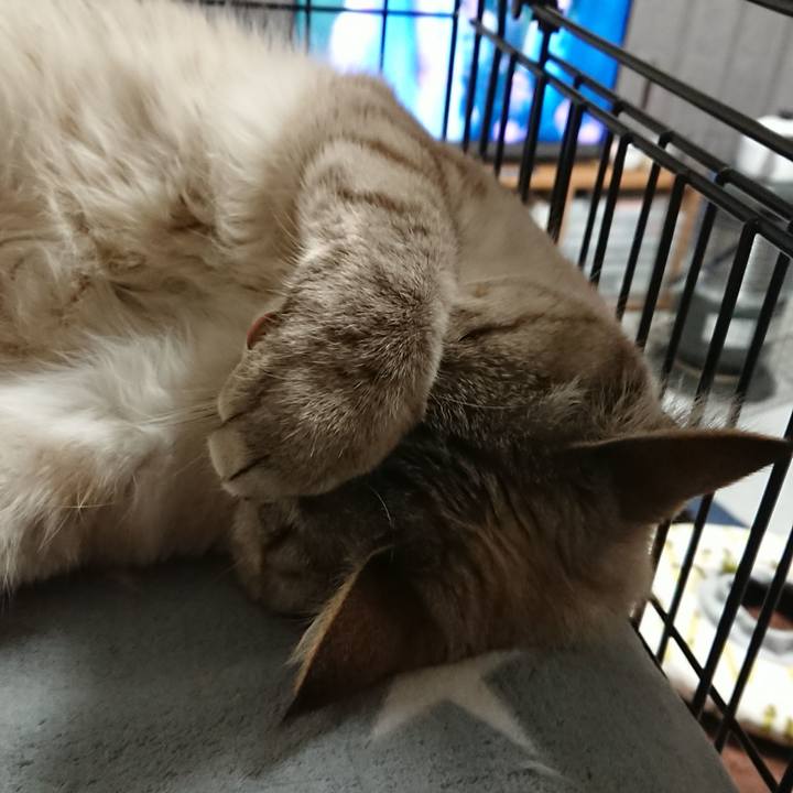 8ed642bf f790 4df2 9267 1dcf07a948d4 1518445398797