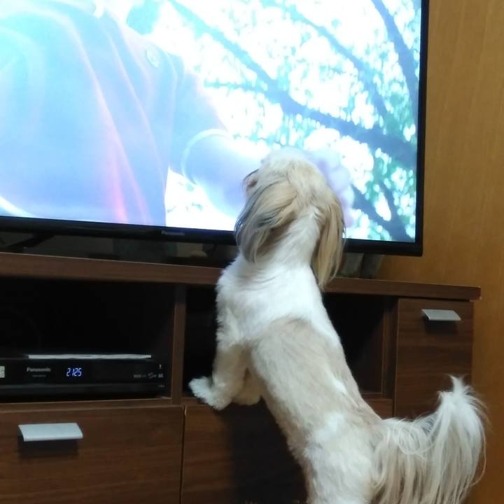 8ed656b2 7cea 4c0d 8983 47eb939b492a 1569587387090