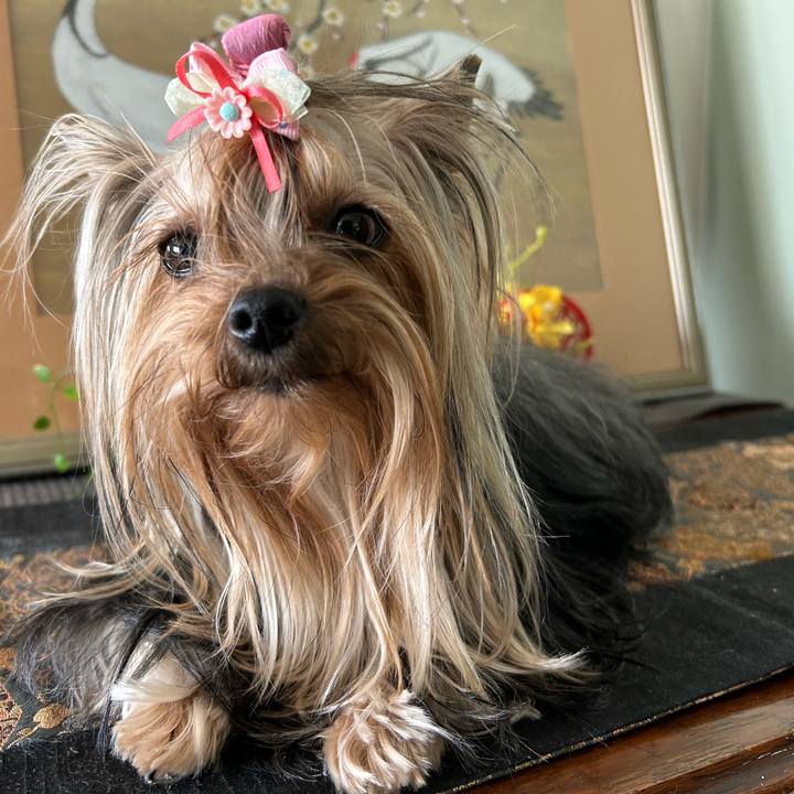 8ed69eae a247 4678 bb1a 90d209921016 1706701179838