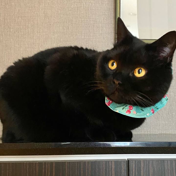 8ed6b387 667a 424d 9542 8591bff9f5a6 1682414693040