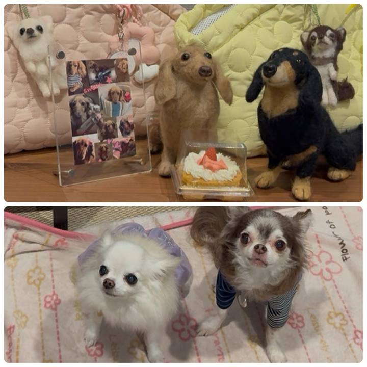 8ed6c178 3b8b 4f6b 9a29 7bece3f16628 1757109047007