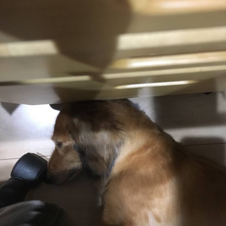 8ed6d87e 9db1 4c20 94e7 86abb9d2b631 1533108466340