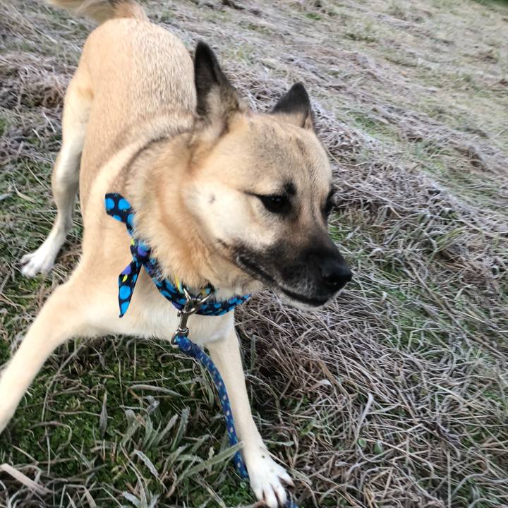 8ed6e772 2fca 400b 9fe3 facc85d51c94 1579091667494