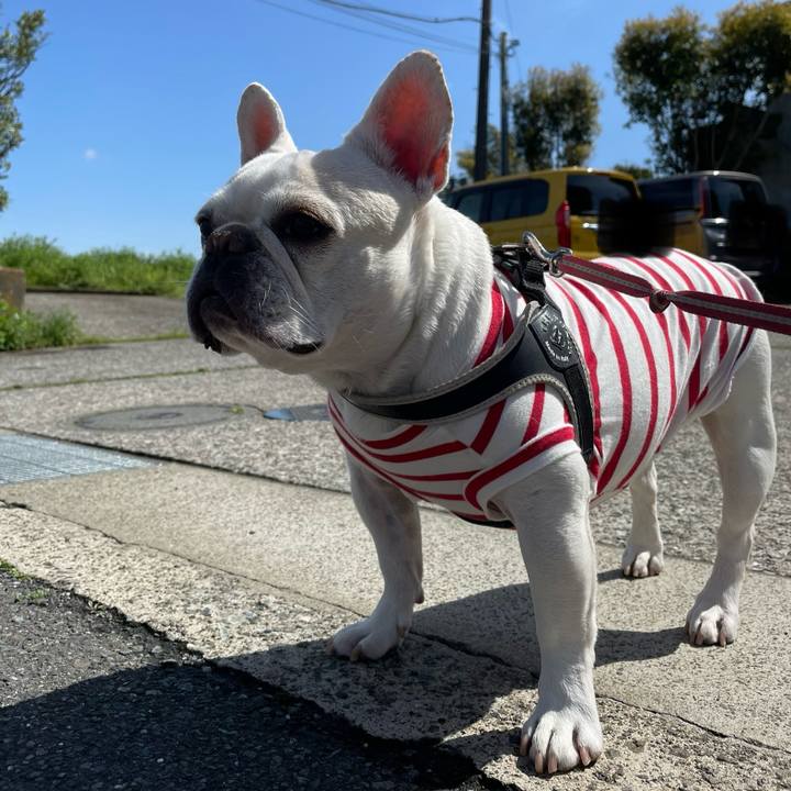 8ed70a22 cf59 4d1d 8d5a 5cbec018a4eb 1744592846852