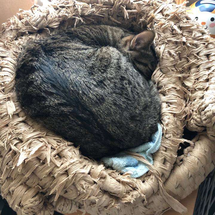 8ed73390 28f7 42b8 9b45 9dafdf7c8a25 1548299421412