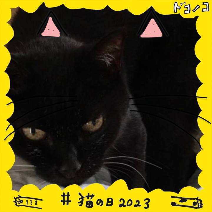 8ed742ce 59d9 44d3 af12 e964fbc2ff8b 1677023608508