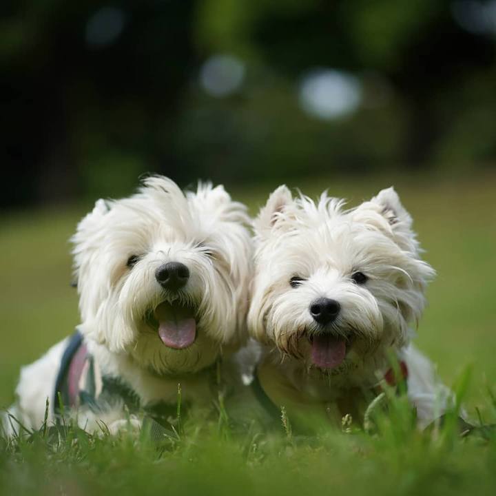 8ed743c0 7efc 4bce 8f8e 3a090ecc81a8 1526564744629