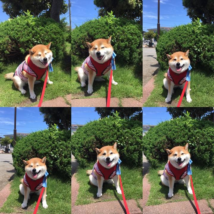 8ed7554d b567 4f04 a791 a562ca1b16c6 1593654898940