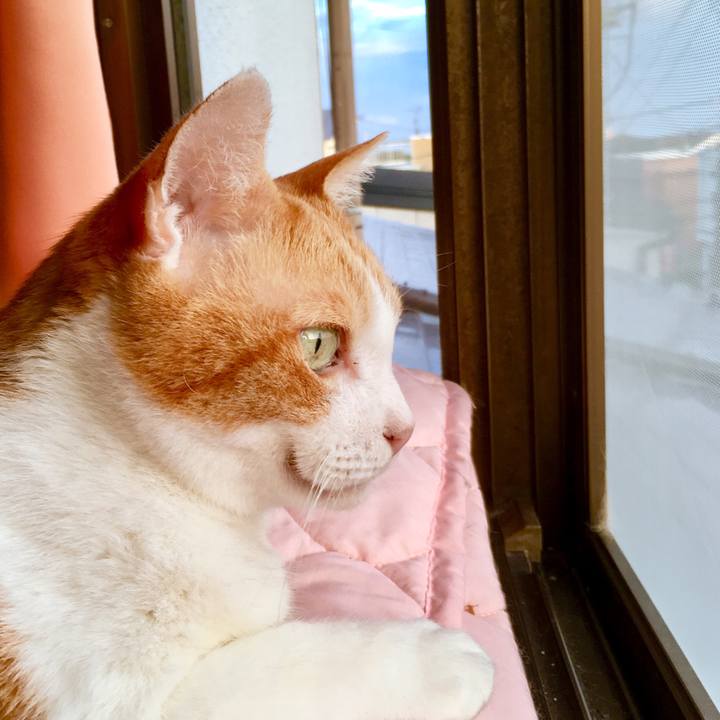 8ed758f1 a99d 4d93 a063 c9e22ede8fc9 1569370058720