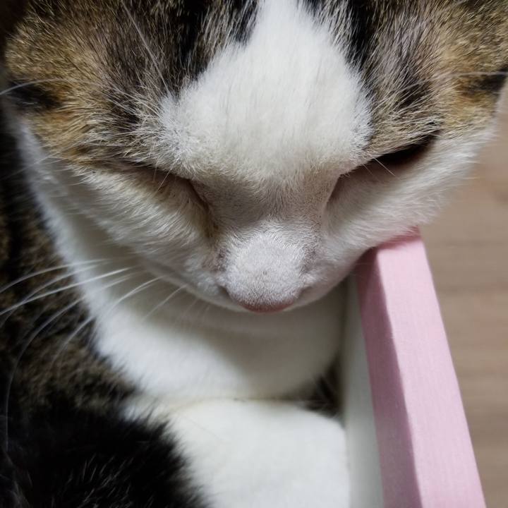 8ed7ce9b 11bf 4067 9b11 8c3e49273573 1601082392652