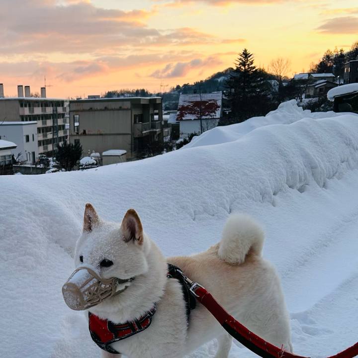 8ed7d3e0 b1c8 49ab bbfb 035607d4719c 1704321082354