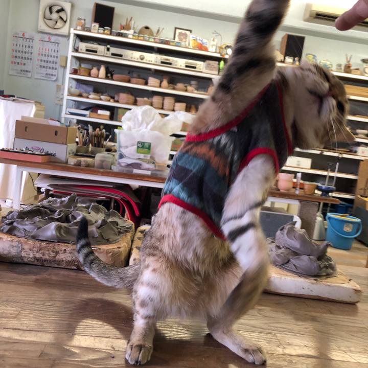 8ed7fd8f 94a1 41de b121 e98254042b6c 1588587363892