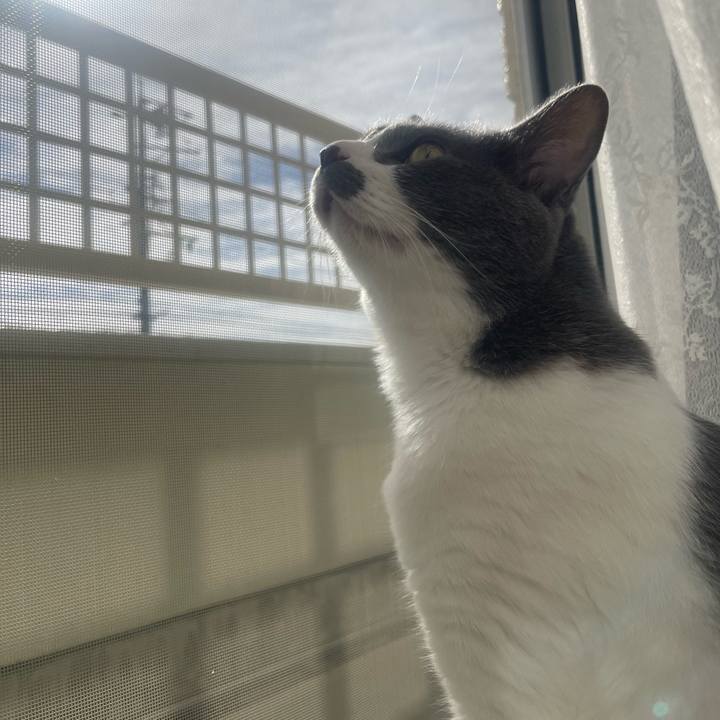 8ed85453 a9dc 4f63 b16e c8ec20570708 1699674425124